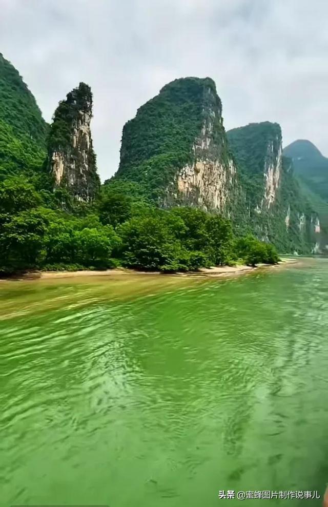 冠军射击手