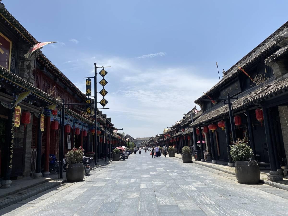 解救金刚鹦鹉