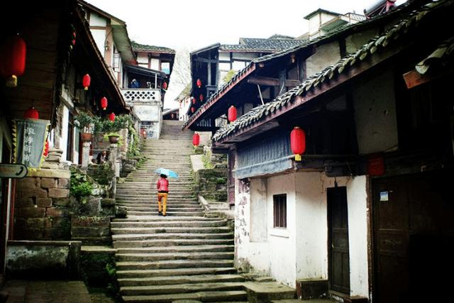 蜻蜓，不是保护动物游戏画面